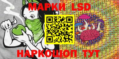 индика Изобильный